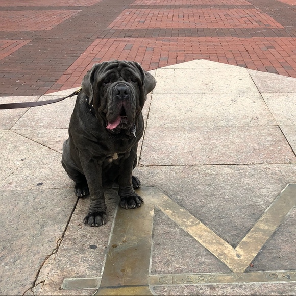 Meet your Posher, Debra - Picture 3 of 3